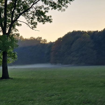 C M Skotarska Daire Poznan Dış mekan fotoğraf